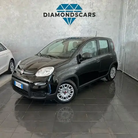 Used FIAT PANDA Hybrid 2023 Ad 