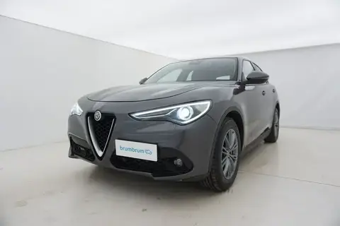 Used ALFA ROMEO STELVIO Diesel 2019 Ad 