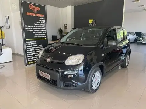 Used FIAT PANDA Hybrid 2024 Ad 