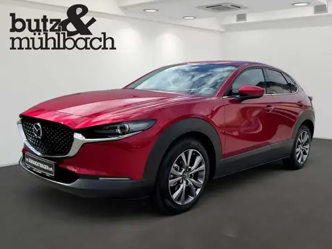 Annonce MAZDA CX-30 Essence 2020 d'occasion 