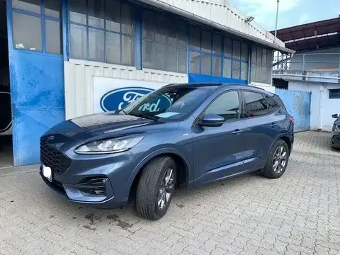 Annonce FORD KUGA Non renseigné 2021 d'occasion 