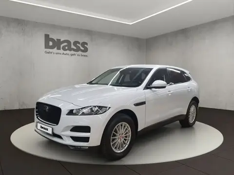 Used JAGUAR F-PACE Diesel 2018 Ad 