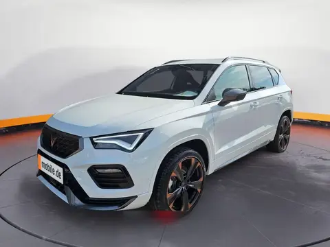 Annonce CUPRA ATECA Essence 2024 d'occasion 