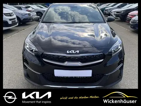 Used KIA XCEED Hybrid 2024 Ad 