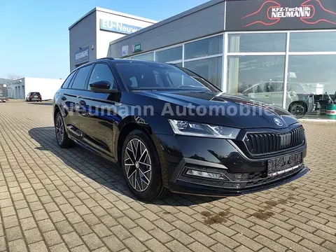 Annonce SKODA OCTAVIA Essence 2024 d'occasion 