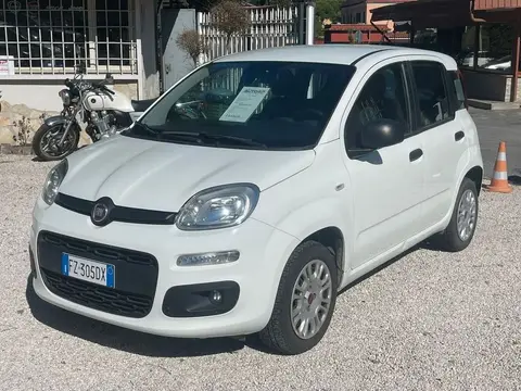 Used FIAT PANDA Petrol 2019 Ad 