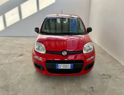 Used FIAT PANDA Hybrid 2021 Ad 