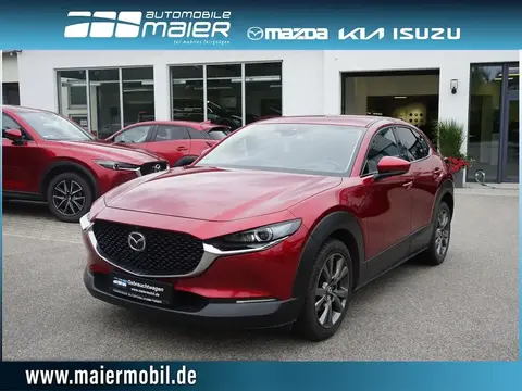 Annonce MAZDA CX-30 Essence 2020 d'occasion 