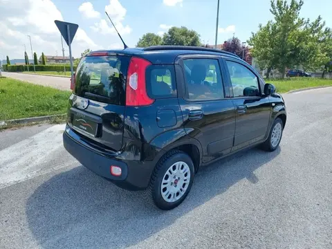 Annonce FIAT PANDA Essence 2019 d'occasion 