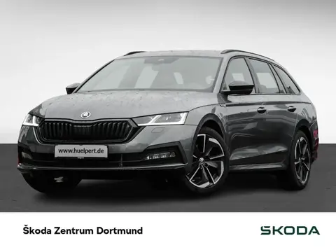 Annonce SKODA OCTAVIA Diesel 2024 d'occasion 