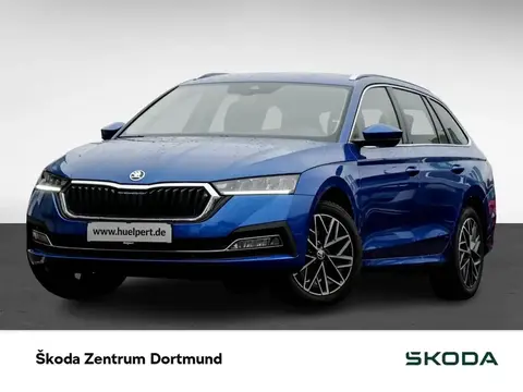 Annonce SKODA OCTAVIA Diesel 2024 d'occasion 