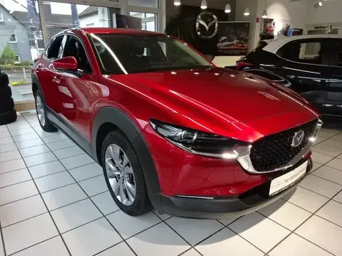 Used MAZDA CX-30 Hybrid 2021 Ad 