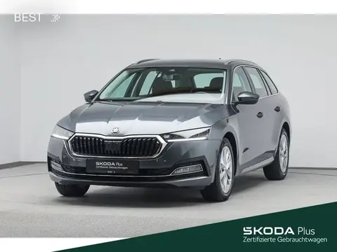 Used SKODA OCTAVIA Petrol 2021 Ad 