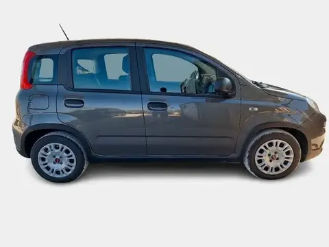 Annonce FIAT PANDA Hybride 2023 d'occasion 