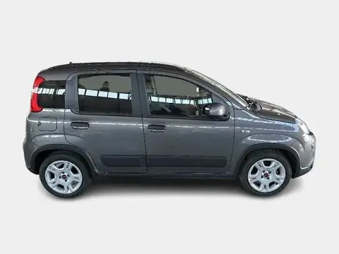 Used FIAT PANDA Hybrid 2023 Ad 