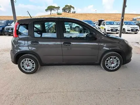 Used FIAT PANDA Hybrid 2023 Ad 