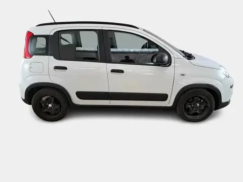 Used FIAT PANDA Hybrid 2022 Ad 