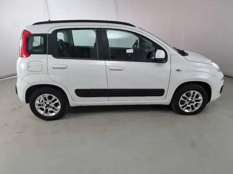 Used FIAT PANDA Petrol 2020 Ad 