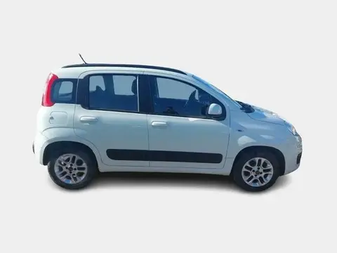 Used FIAT PANDA Petrol 2019 Ad 