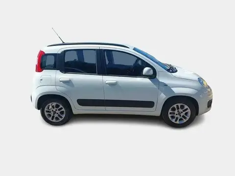 Used FIAT PANDA Petrol 2019 Ad 