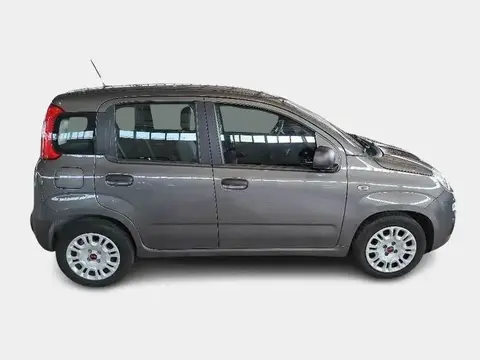 Used FIAT PANDA Hybrid 2020 Ad 