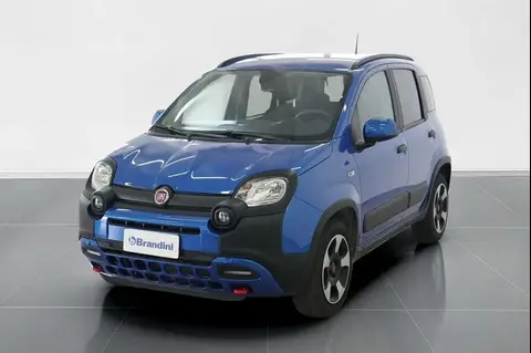 Used FIAT PANDA Hybrid 2023 Ad 