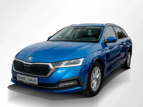 Annonce SKODA OCTAVIA Diesel 2020 d'occasion 