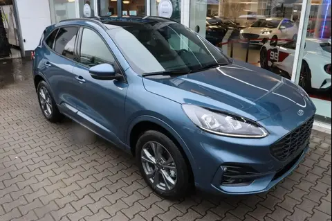 Used FORD KUGA Hybrid 2024 Ad 