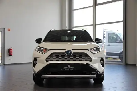 Used TOYOTA RAV4 Hybrid 2019 Ad 