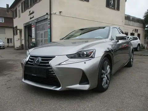 Used LEXUS IS Hybrid 2020 Ad 