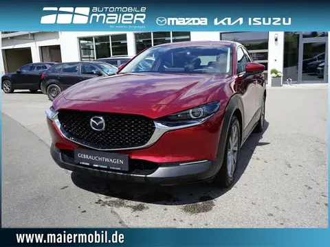 Annonce MAZDA CX-30 Diesel 2020 d'occasion 