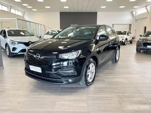 Used OPEL GRANDLAND Diesel 2019 Ad 