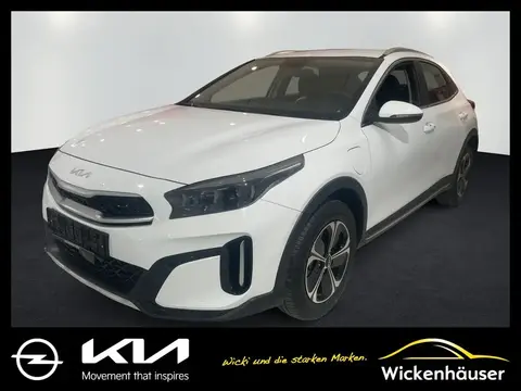 Used KIA XCEED Hybrid 2024 Ad 