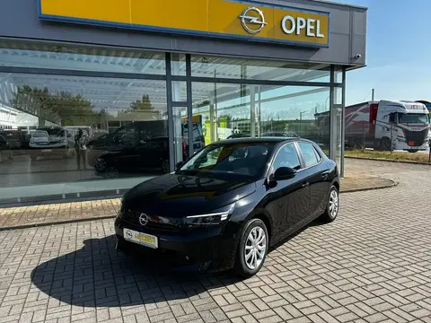 Annonce OPEL CORSA Diesel 2024 d'occasion 