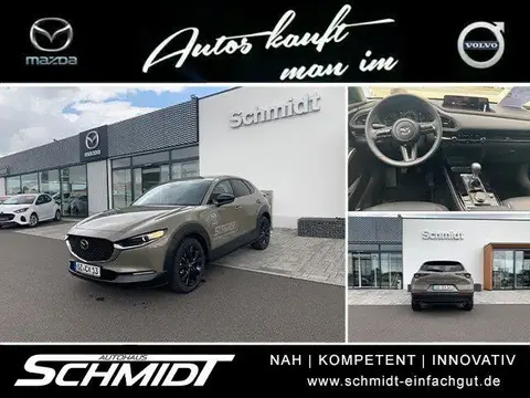 Annonce MAZDA CX-30 Essence 2024 d'occasion 