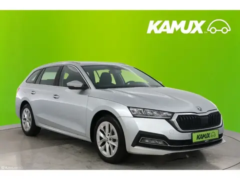 Annonce SKODA OCTAVIA Diesel 2020 d'occasion 