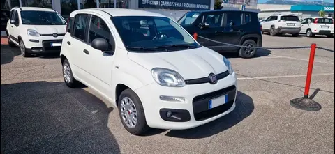 Annonce FIAT PANDA Essence 2020 d'occasion 