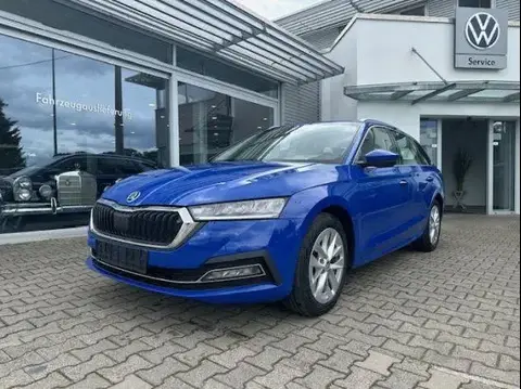 Used SKODA OCTAVIA Diesel 2020 Ad 