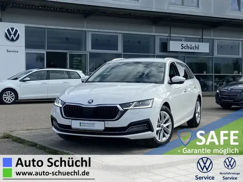 Used SKODA OCTAVIA Diesel 2021 Ad 