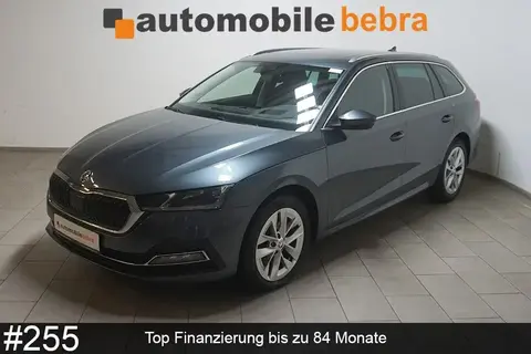 Used SKODA OCTAVIA Diesel 2020 Ad 