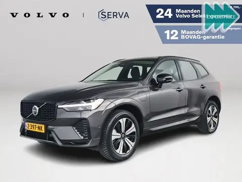 Annonce VOLVO XC60 Hybride 2024 d'occasion 