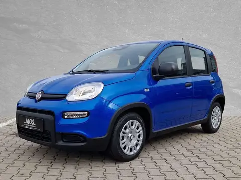 Annonce FIAT PANDA Essence 2024 d'occasion 