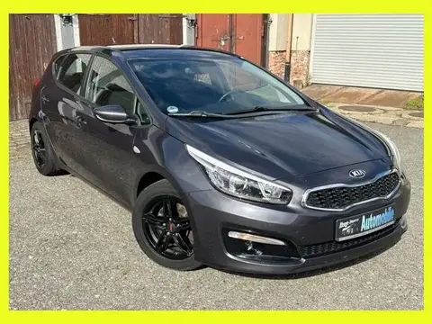 Used KIA CEED Petrol 2017 Ad 