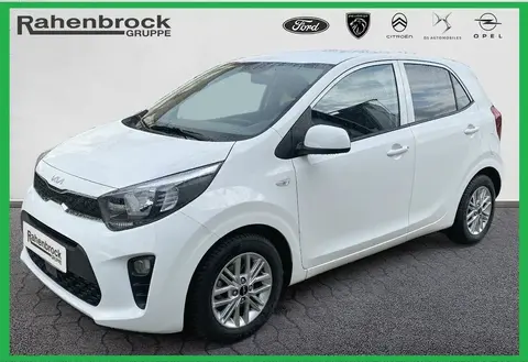 Annonce KIA PICANTO Essence 2023 d'occasion 