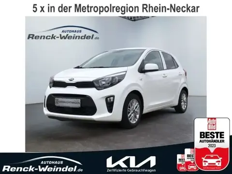 Used KIA PICANTO Petrol 2021 Ad 