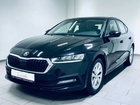 Used SKODA OCTAVIA Petrol 2021 Ad 