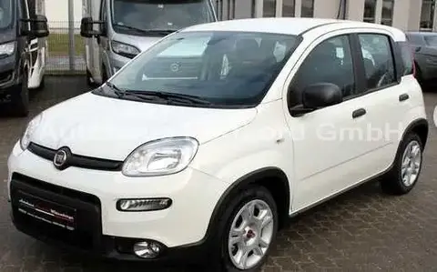 Annonce FIAT PANDA Essence 2024 d'occasion 