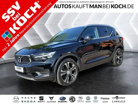 Used VOLVO XC40 Hybrid 2021 Ad 