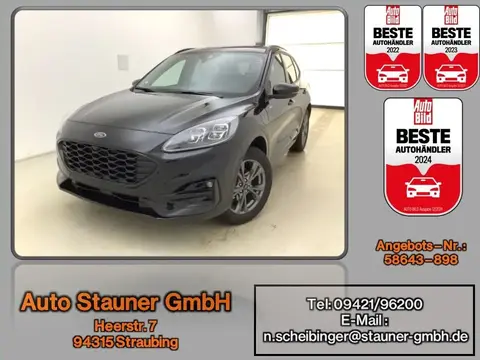 Used FORD KUGA Hybrid 2024 Ad 