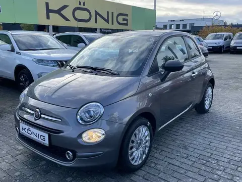 Used FIAT 500 Petrol 2023 Ad 